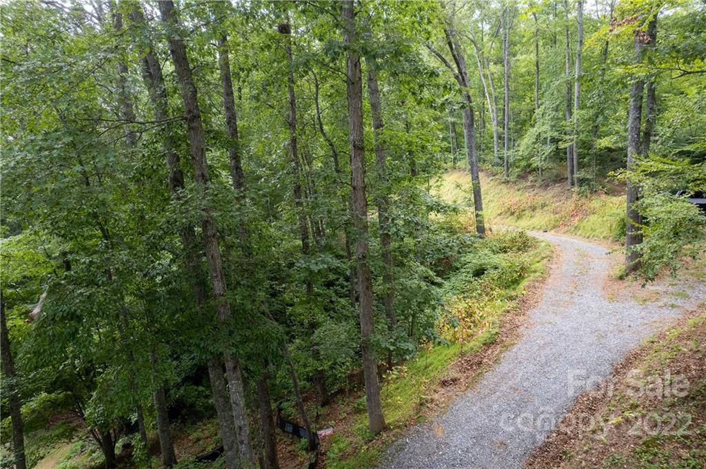 0 Cope Creek Road, Unit 3 Sylva, NC 28779 - Photo 3 of 19 Gallery Image 3