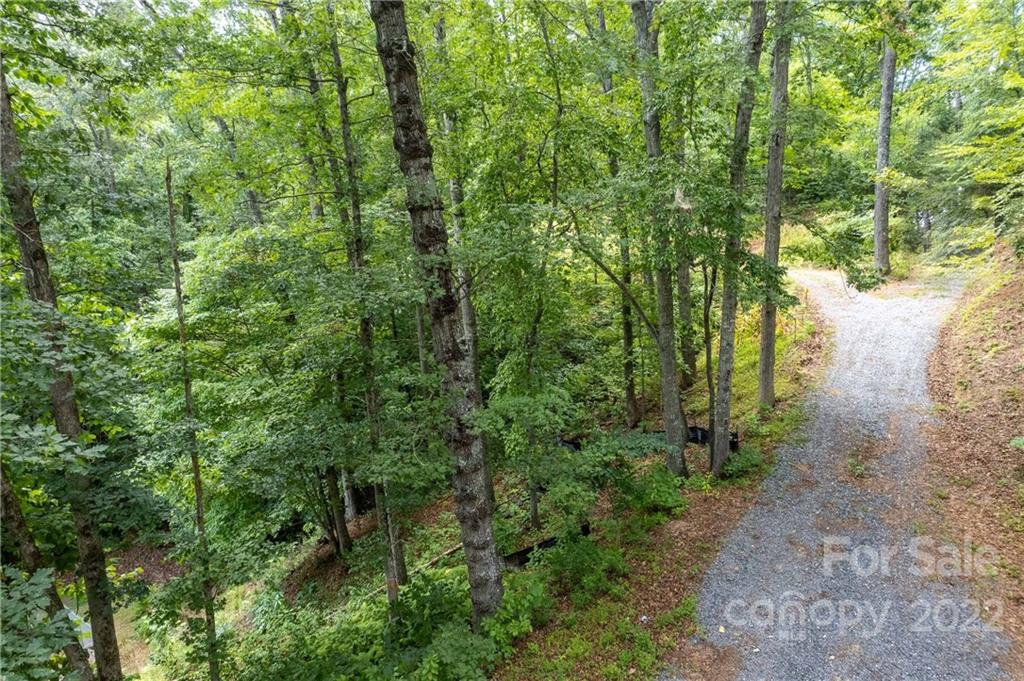 0 Cope Creek Road, Unit 3 Sylva, NC 28779 - Photo 4 of 19 Gallery Image 4