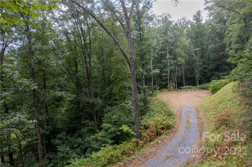 0 Cope Creek Road, Unit 3 Sylva, NC 28779 - Photo 5 of 19 Gallery Image 5