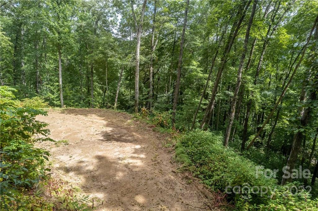 0 Cope Creek Road, Unit 3 Sylva, NC 28779 - Photo 6 of 19 Gallery Image 6