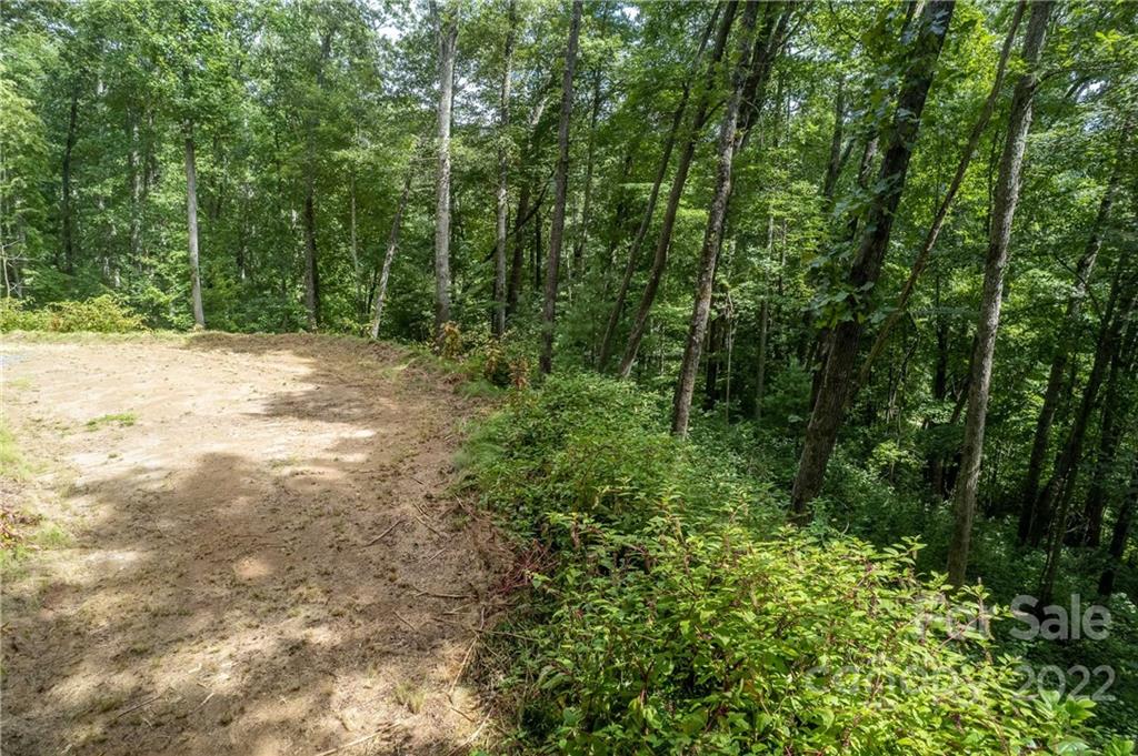 0 Cope Creek Road, Unit 3 Sylva, NC 28779 - Photo 7 of 19 Gallery Image 7