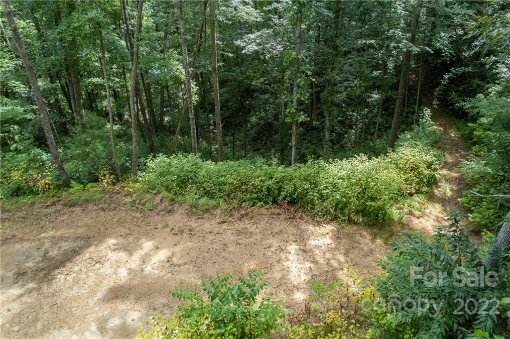 0 Cope Creek Road, Unit 3 Sylva, NC 28779 - Photo 8 of 19 Gallery Image 8