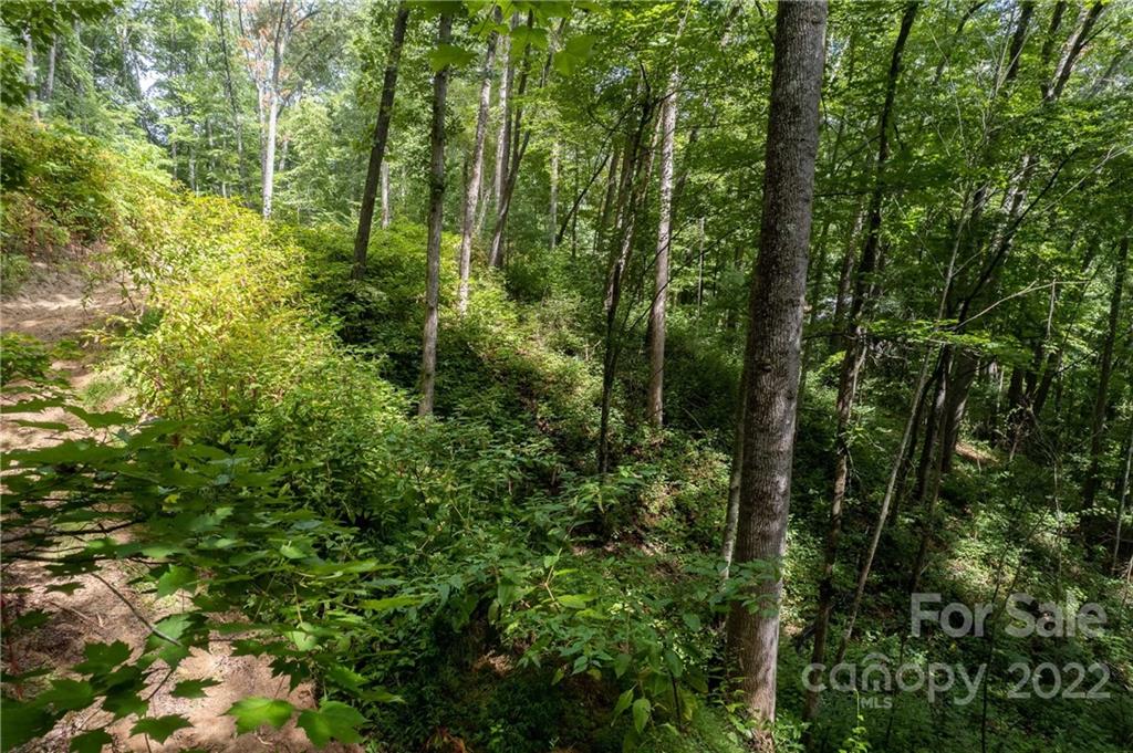 0 Cope Creek Road, Unit 3 Sylva, NC 28779 - Photo 9 of 19 Gallery Image 9