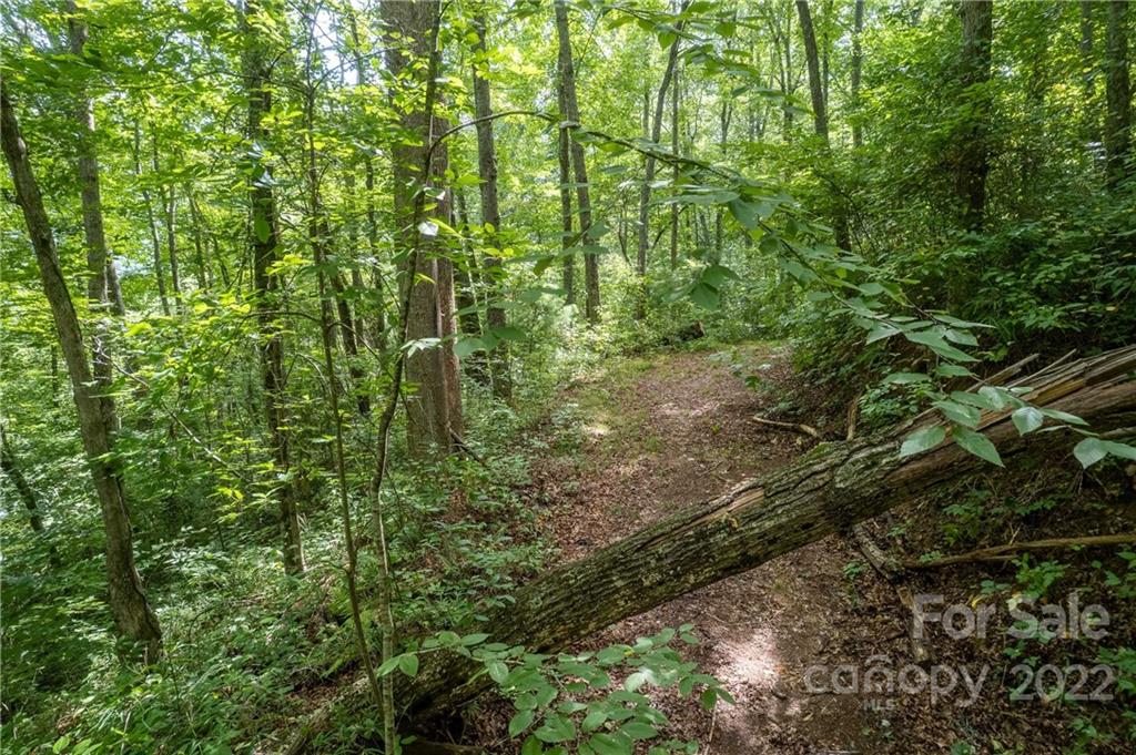 0 Cope Creek Road, Unit 3 Sylva, NC 28779 - Photo 10 of 19 Gallery Image 10