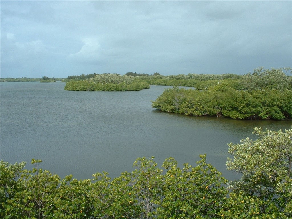 934 Bermuda Avenue Sebastian, FL 32958 - Photo 28 of 31 an aerial view of a houses with lake view