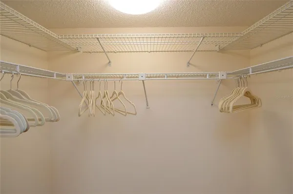 a view of a garden with a tree in the background