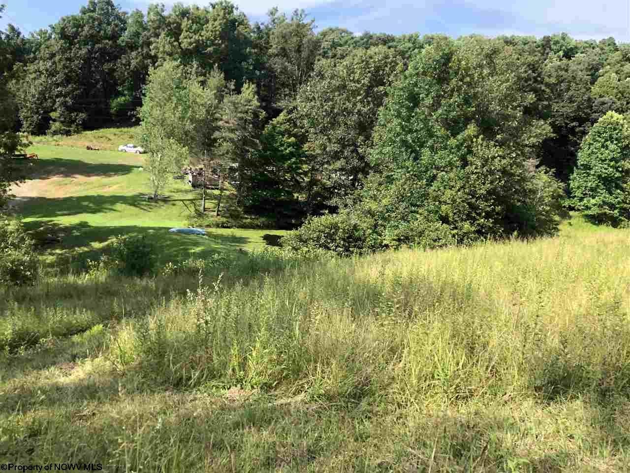 4375 Carrolton Road Volga, WV 26238 - Photo 17 of 20 Gallery Image 17