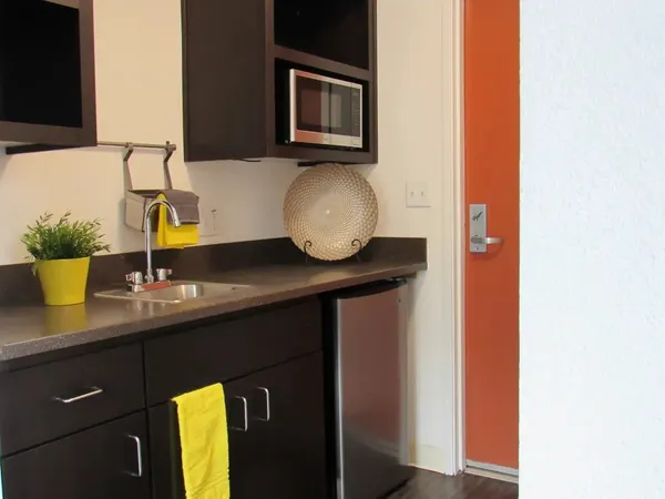 a kitchen with a sink and a potted plant