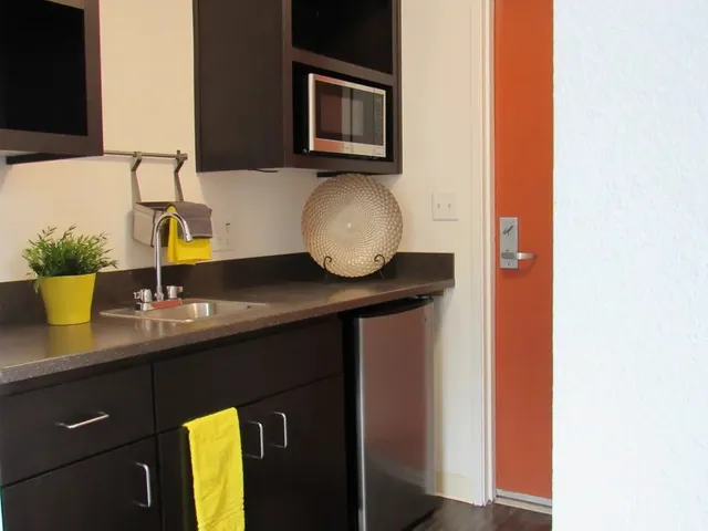 a kitchen with a sink and a potted plant