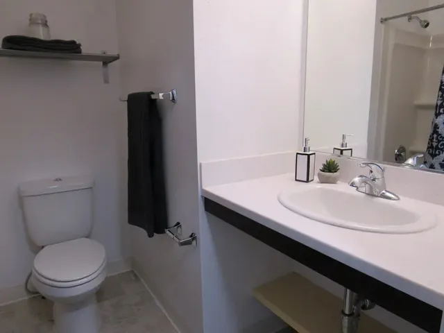 a bathroom with a sink and a toilet