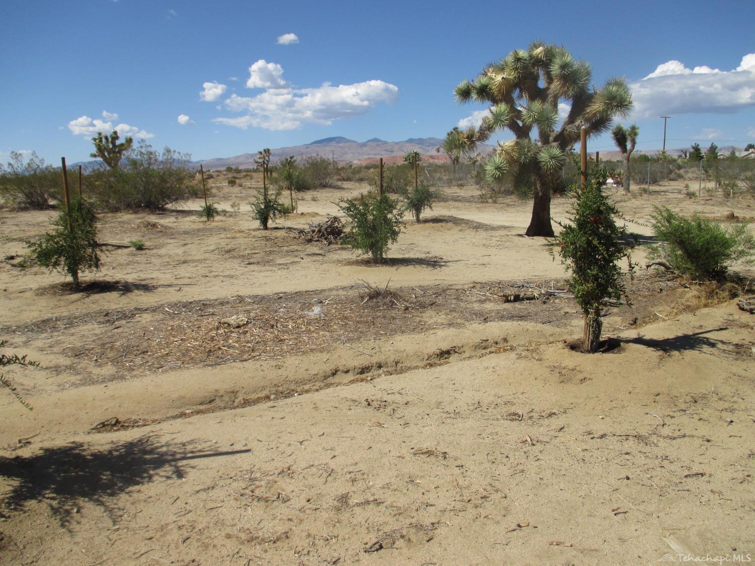 4870 Montiverde Road Mojave, CA 93501 - Photo 12 of 14 Gallery Image 12