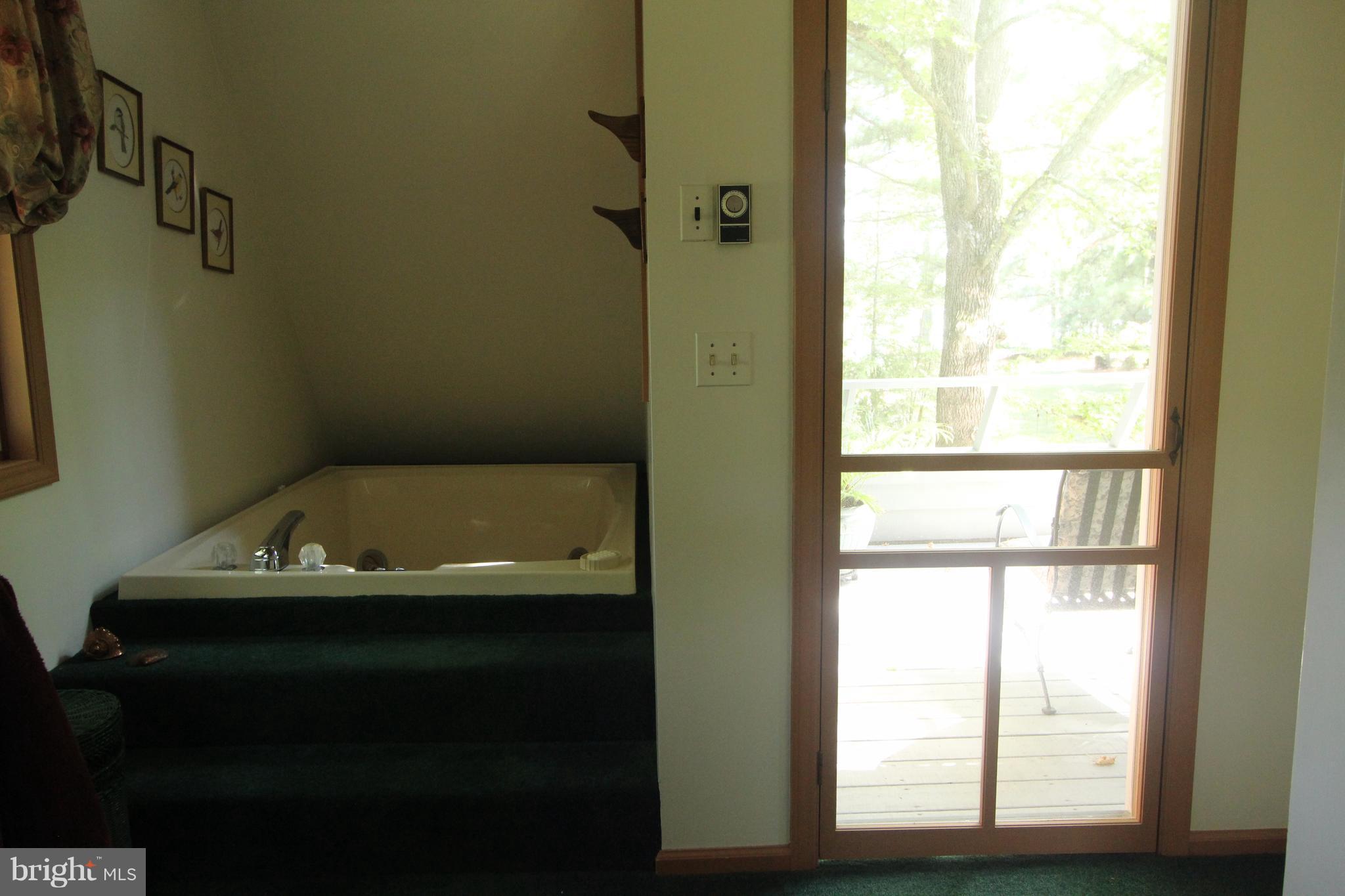 8239 Trice Field Road St. Michaels, MD 21663 - Photo 18 of 28 Bath (Master)