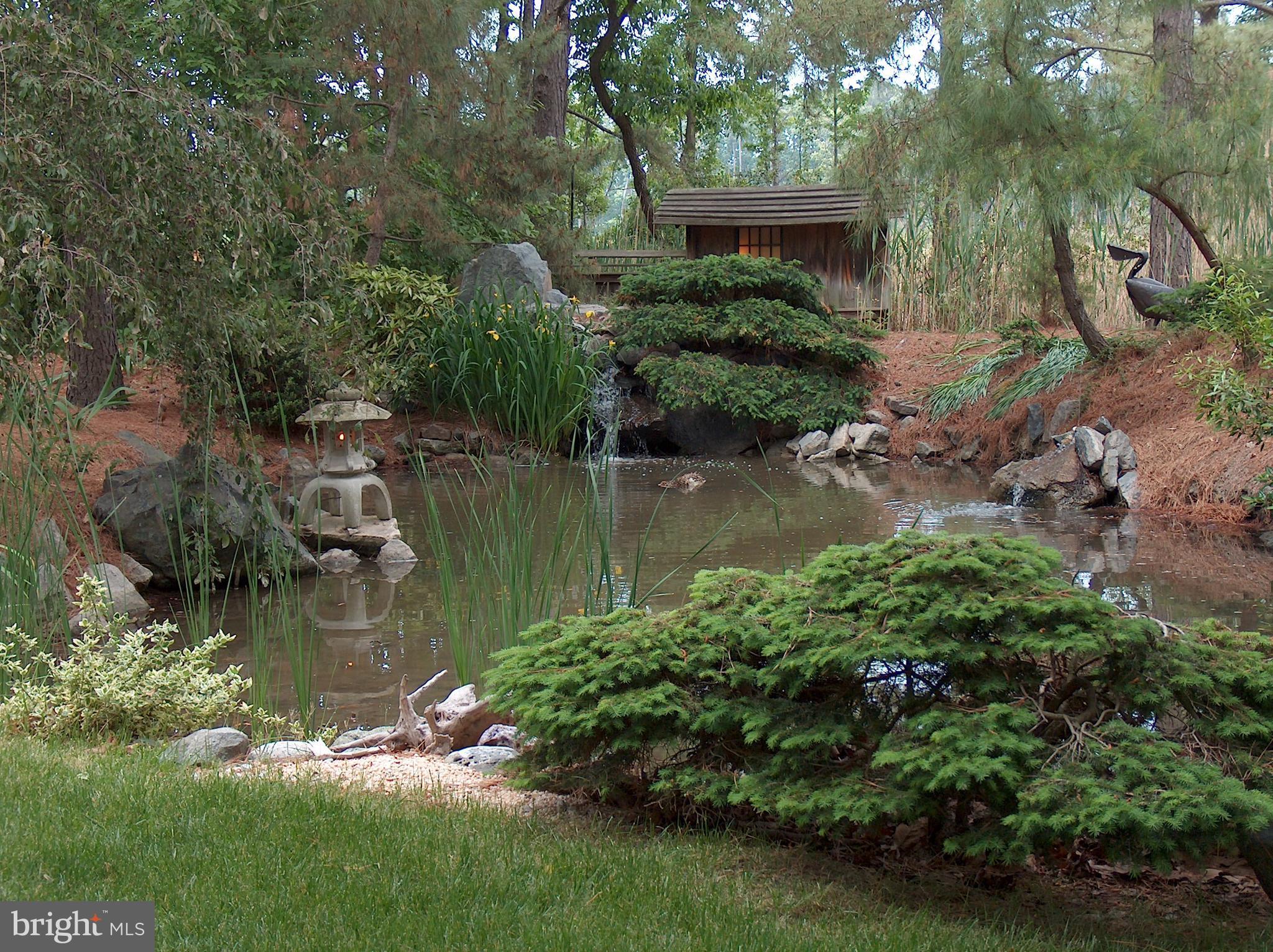 8239 Trice Field Road St. Michaels, MD 21663 - Photo 4 of 28 Japanese Garden