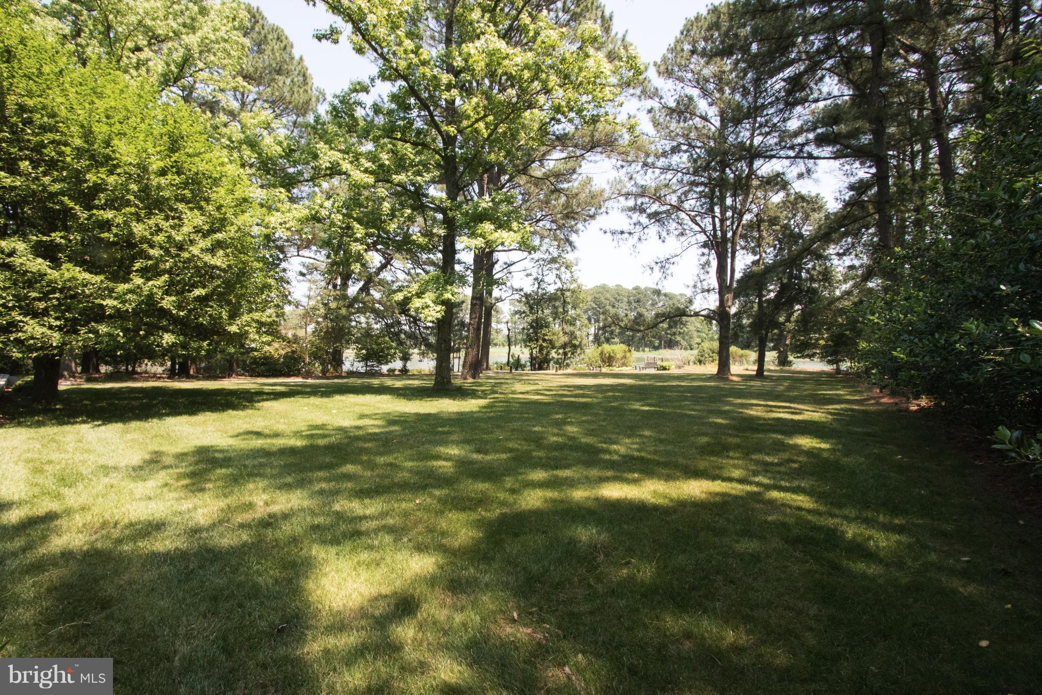 8239 Trice Field Road St. Michaels, MD 21663 - Photo 8 of 28 Back Yard