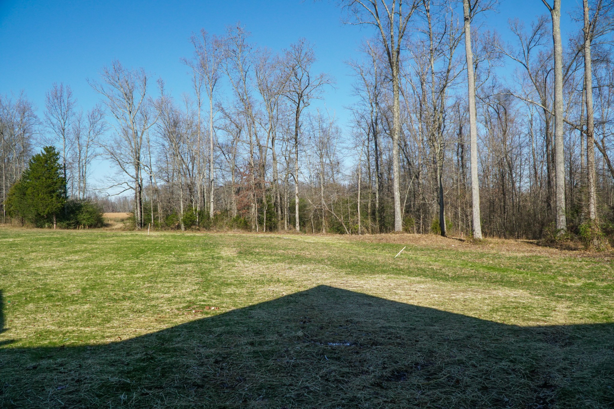 8203 Cookeville Boatdock Road Baxter, TN 38544 - Photo 55 of 64 a view of a large yard with large trees