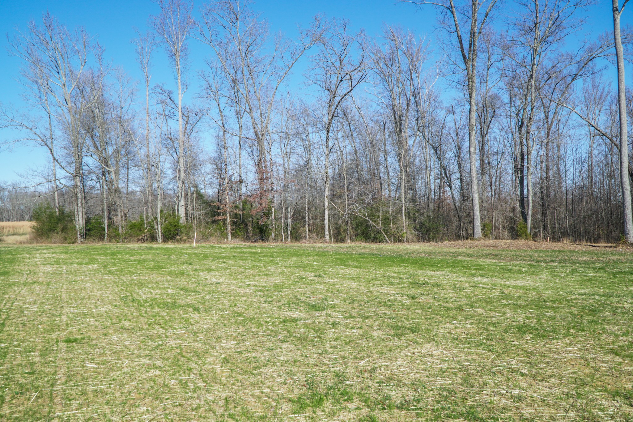 8203 Cookeville Boatdock Road Baxter, TN 38544 - Photo 59 of 64 a view of outdoor space and yard