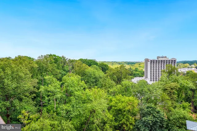 a view of a green field