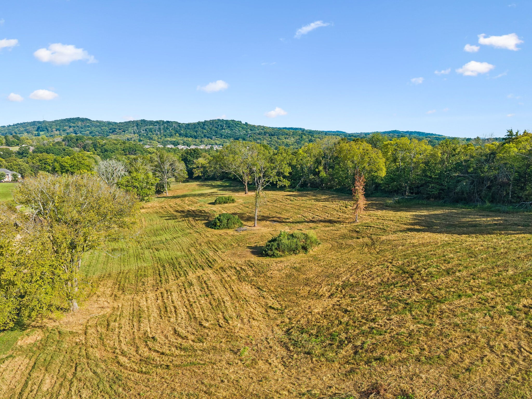 1025 Tulloss Road Franklin, TN 37067 - Photo 51 of 56 Gallery Image 51