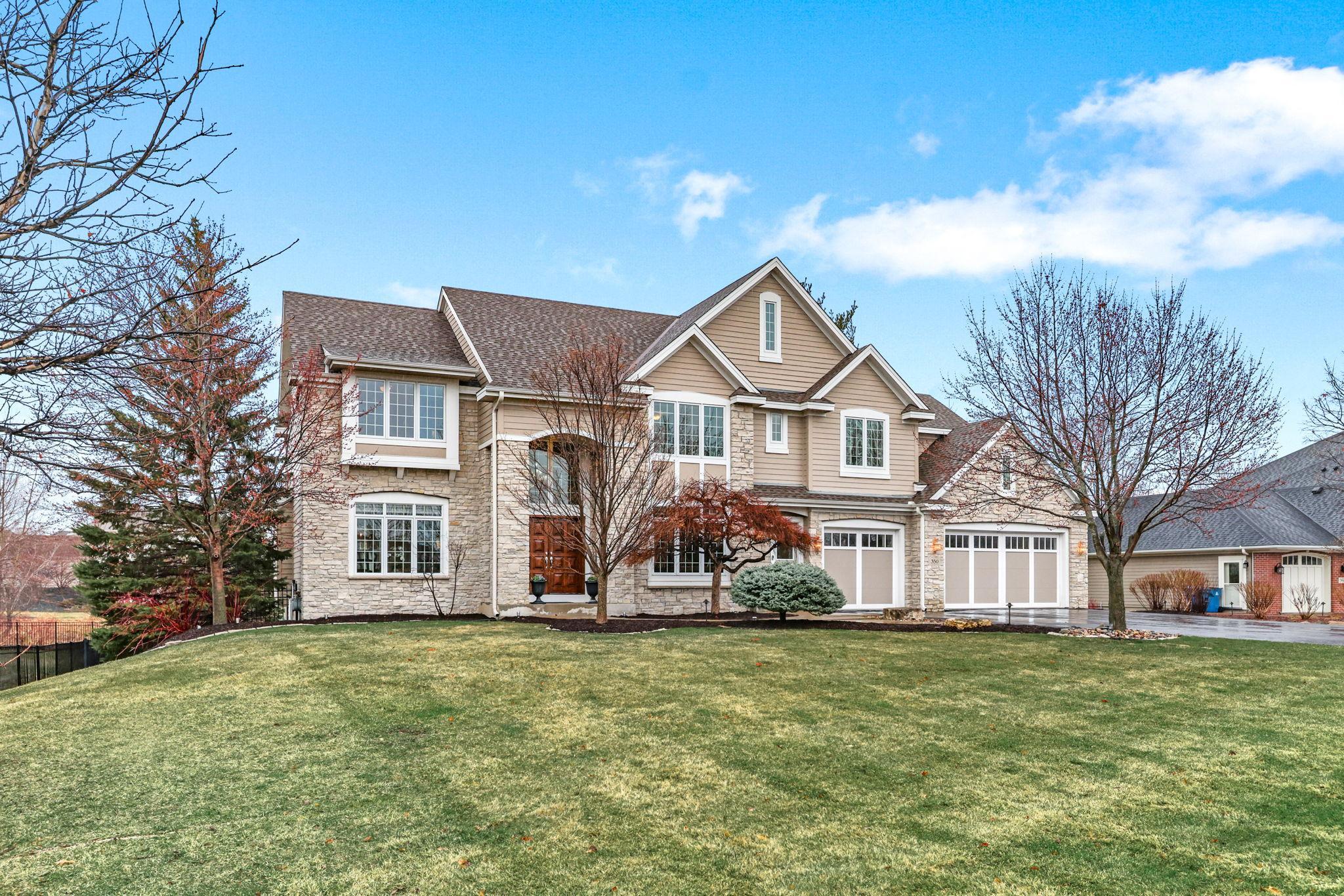 350 Lythrum Lane Medina, MN 55340 - Photo 3 of 46