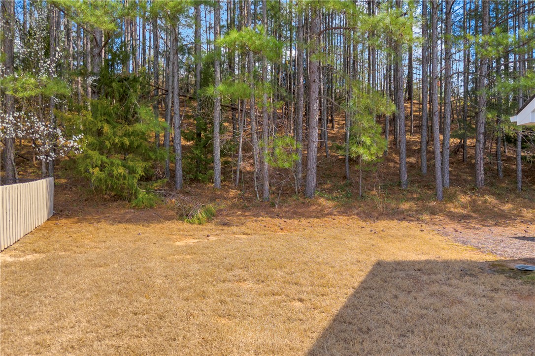 138 Madison Pointe Drive Seneca, SC 29678 - Photo 41 of 42 This spacious yard offers a serene backdrop of mature trees, providing privacy and natural beauty.