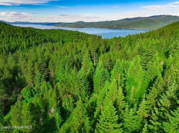 $499,000 | Nka-2 South Skyview Road, Harrison, ID 83833