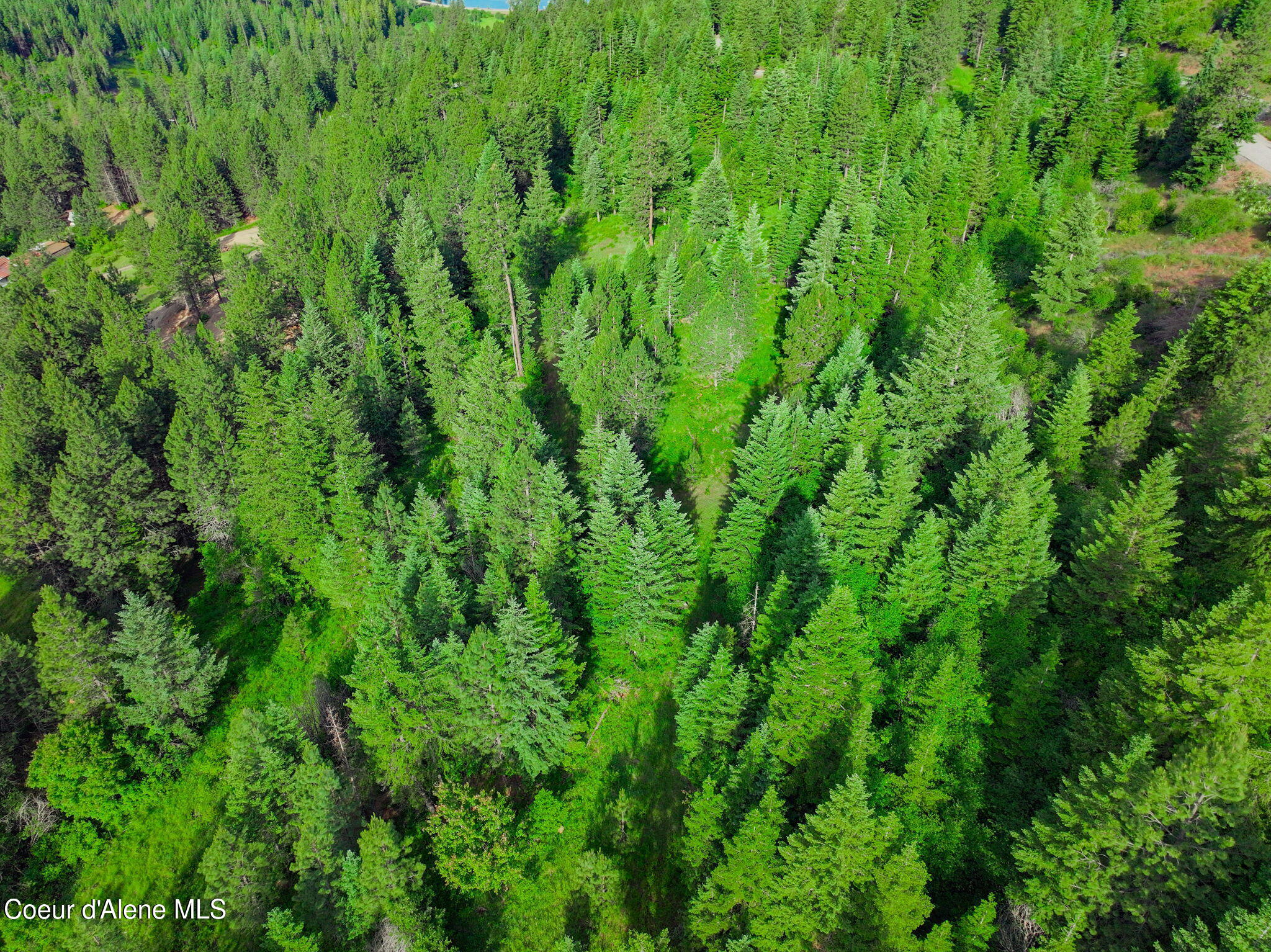 Nka-2 South Skyview Road Harrison, ID 83833 - Photo 15 of 26 15-web-or-mls-Aerial-Drone-20
