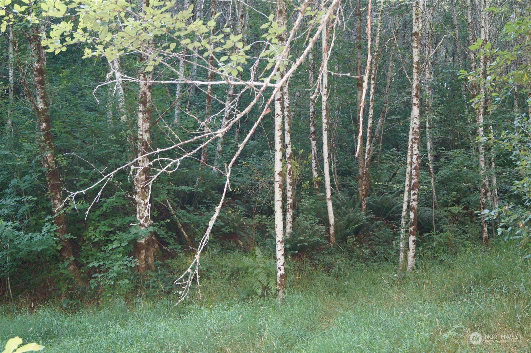 0 Garrard Creek Road Rochester, WA 98579 - Photo 3 of 10