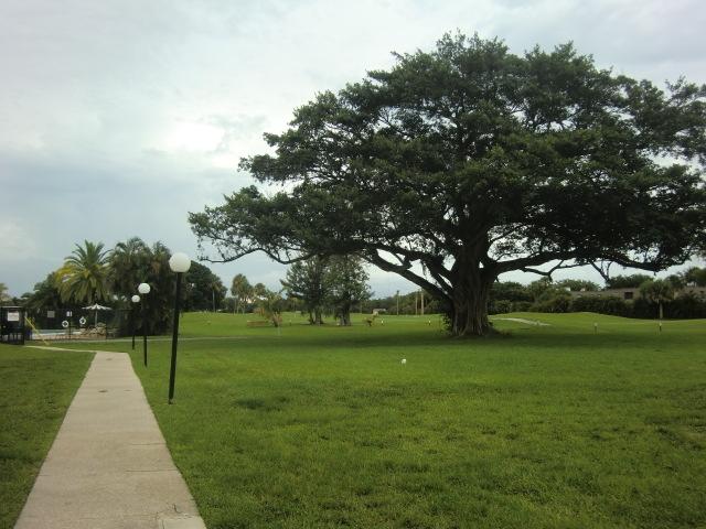 9355 Southwest 8th Street, Unit 117 Boca Raton, FL 33428 - Photo 27 of 81 Back View 1