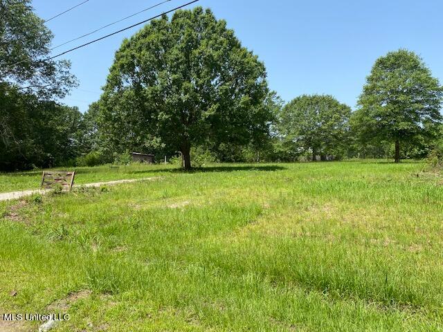 191 Salem Road Picayune, MS 39466 - Photo 3 of 6 IMG_6488