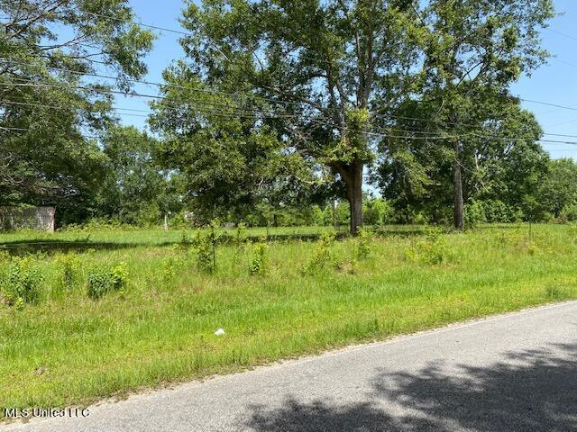 191 Salem Road Picayune, MS 39466 - Photo 5 of 6 land