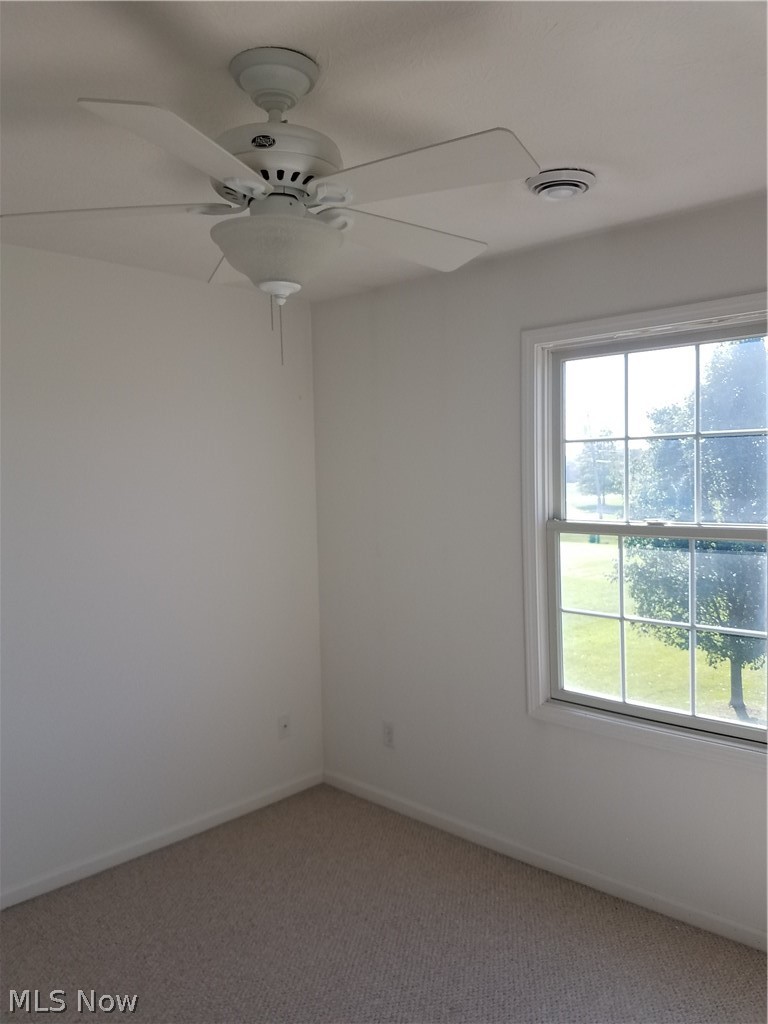 40900 Slife Road Lagrange, OH 44050 - Photo 19 of 35