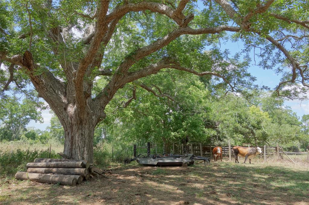 0 Fm 1458 Brookshire Tx