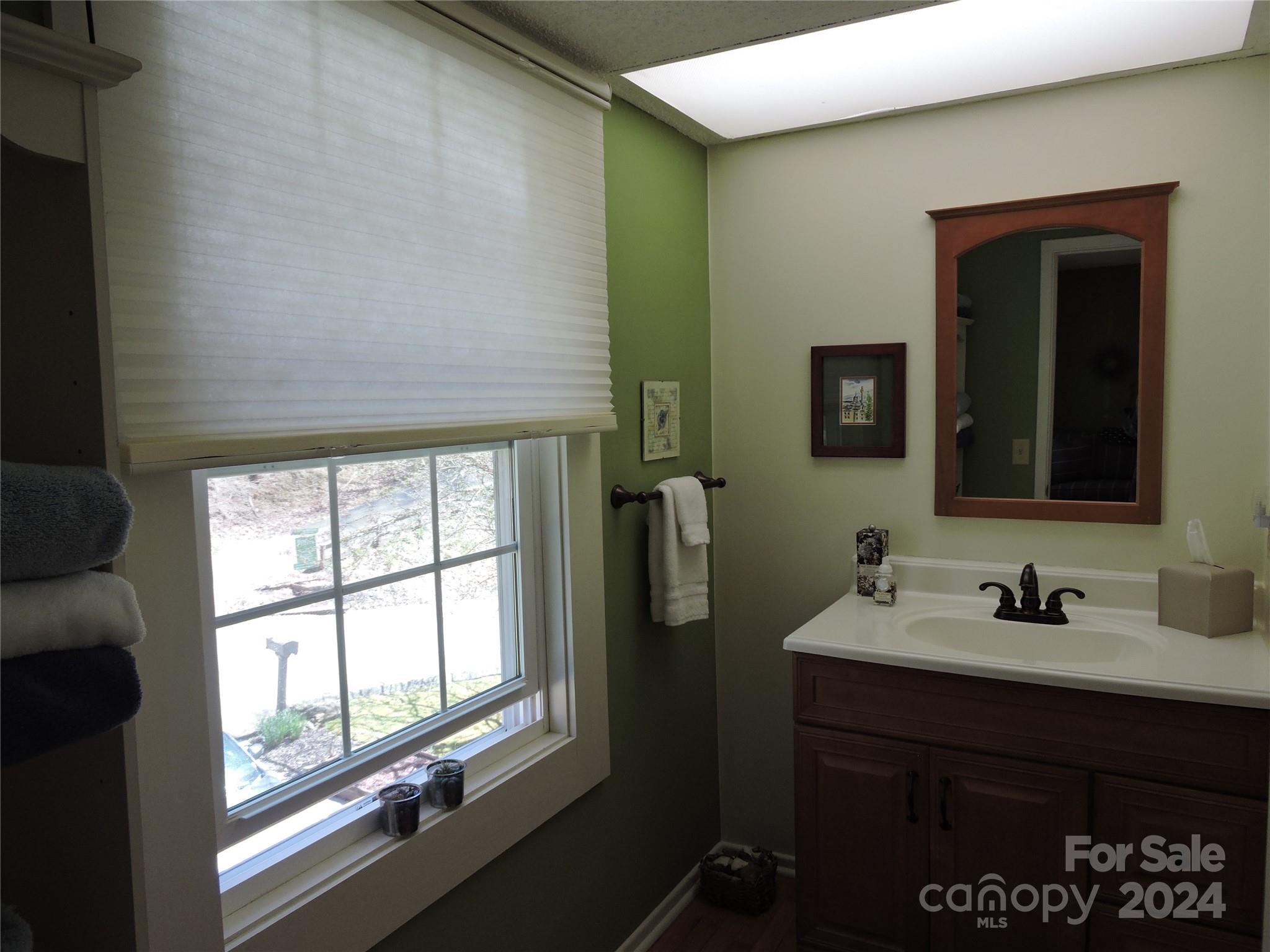 329 Riddle Cove Road Maggie Valley, NC 28751 - Photo 12 of 22 a bathroom with a sink and a mirror