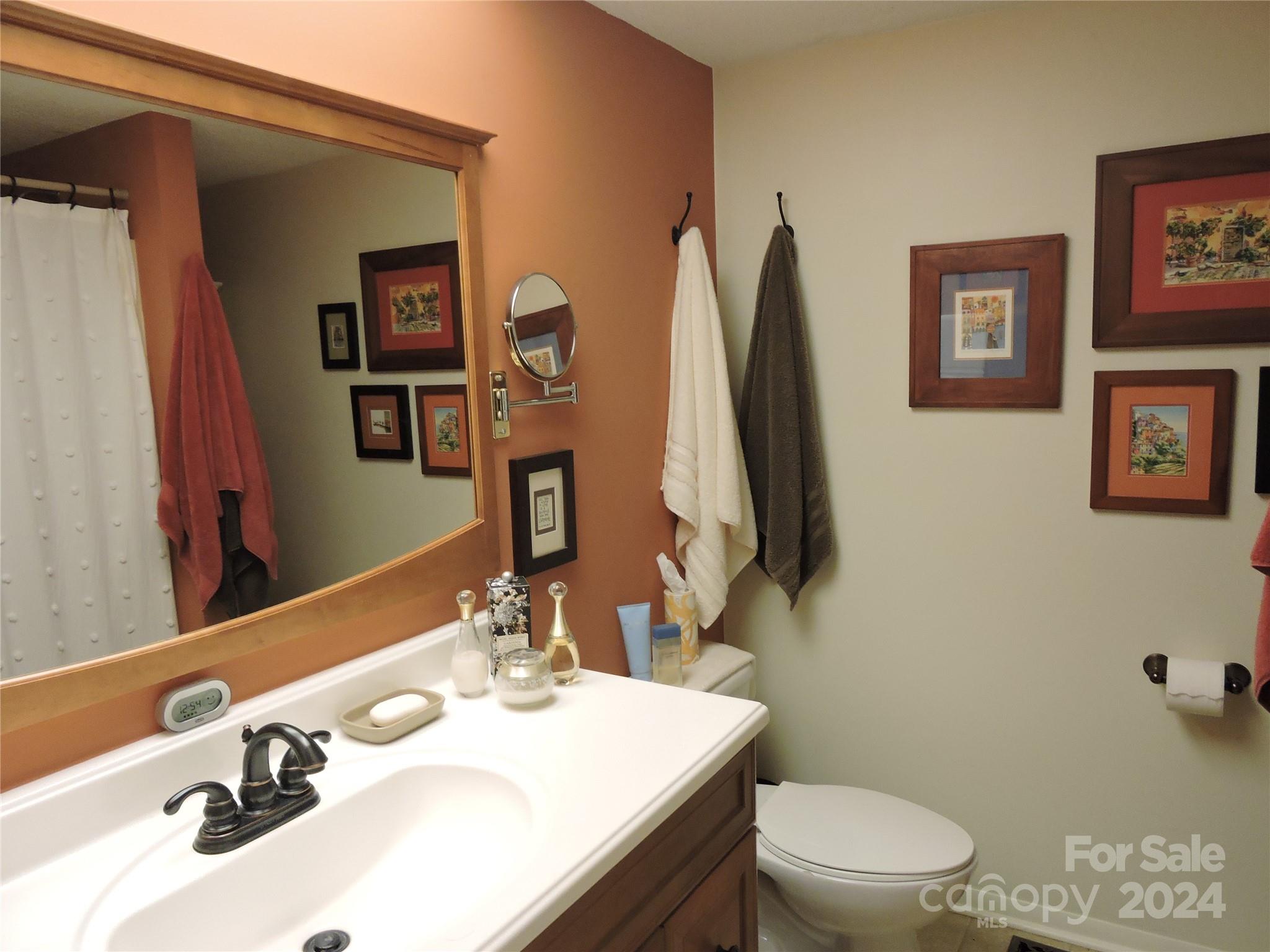 329 Riddle Cove Road Maggie Valley, NC 28751 - Photo 16 of 22 a bathroom with a sink vanity mirror and toilet