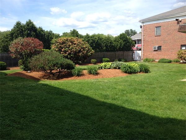 1186 Worcester Road, Unit 421 Framingham, MA 01702 - Photo 4 of 12 Gallery Image 4