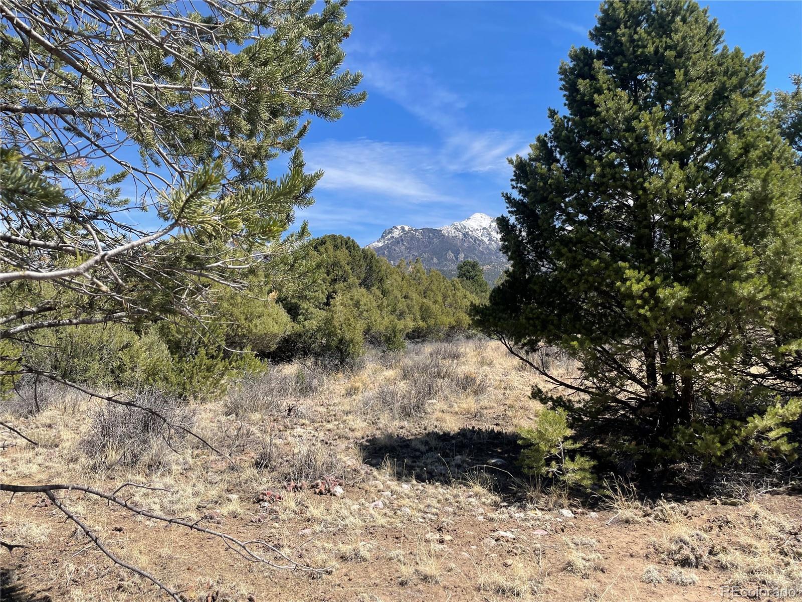 1511 West Badger Road Crestone, CO 81131 - Photo 14 of 18