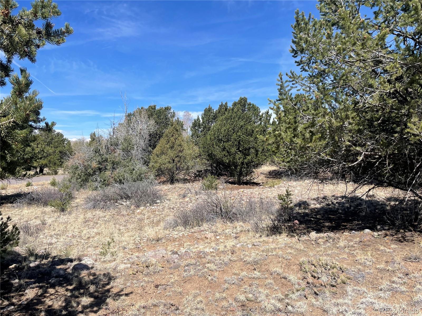 1511 West Badger Road Crestone, CO 81131 - Photo 15 of 18