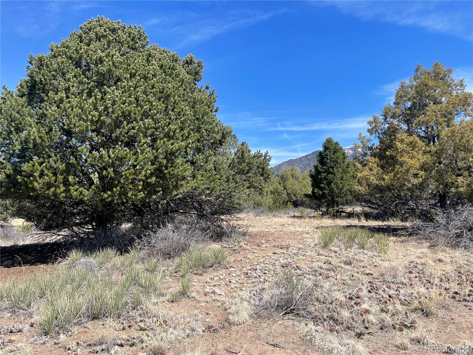 1511 West Badger Road Crestone, CO 81131 - Photo 16 of 18