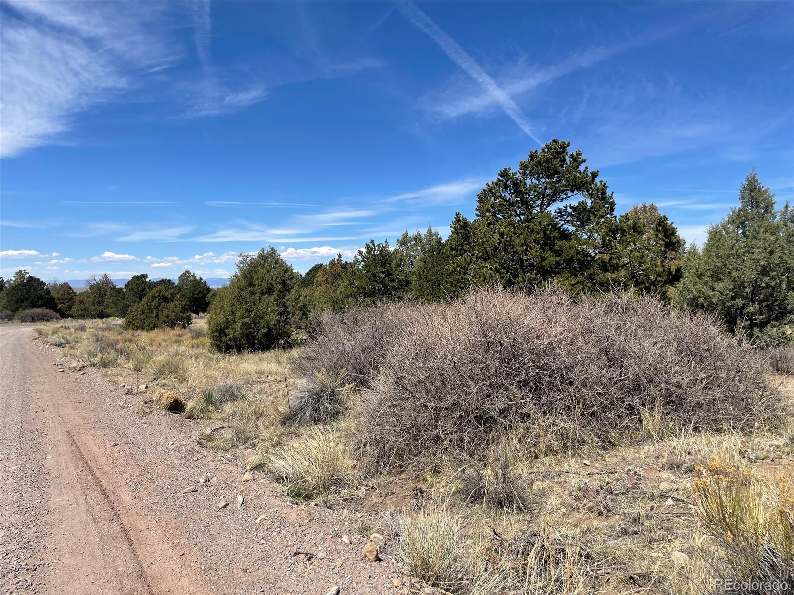 1511 West Badger Road Crestone, CO 81131 - Photo 6 of 18