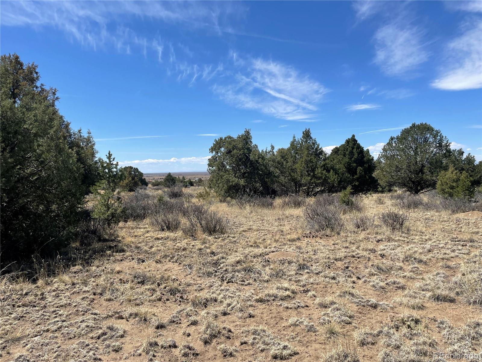 1511 West Badger Road Crestone, CO 81131 - Photo 8 of 18