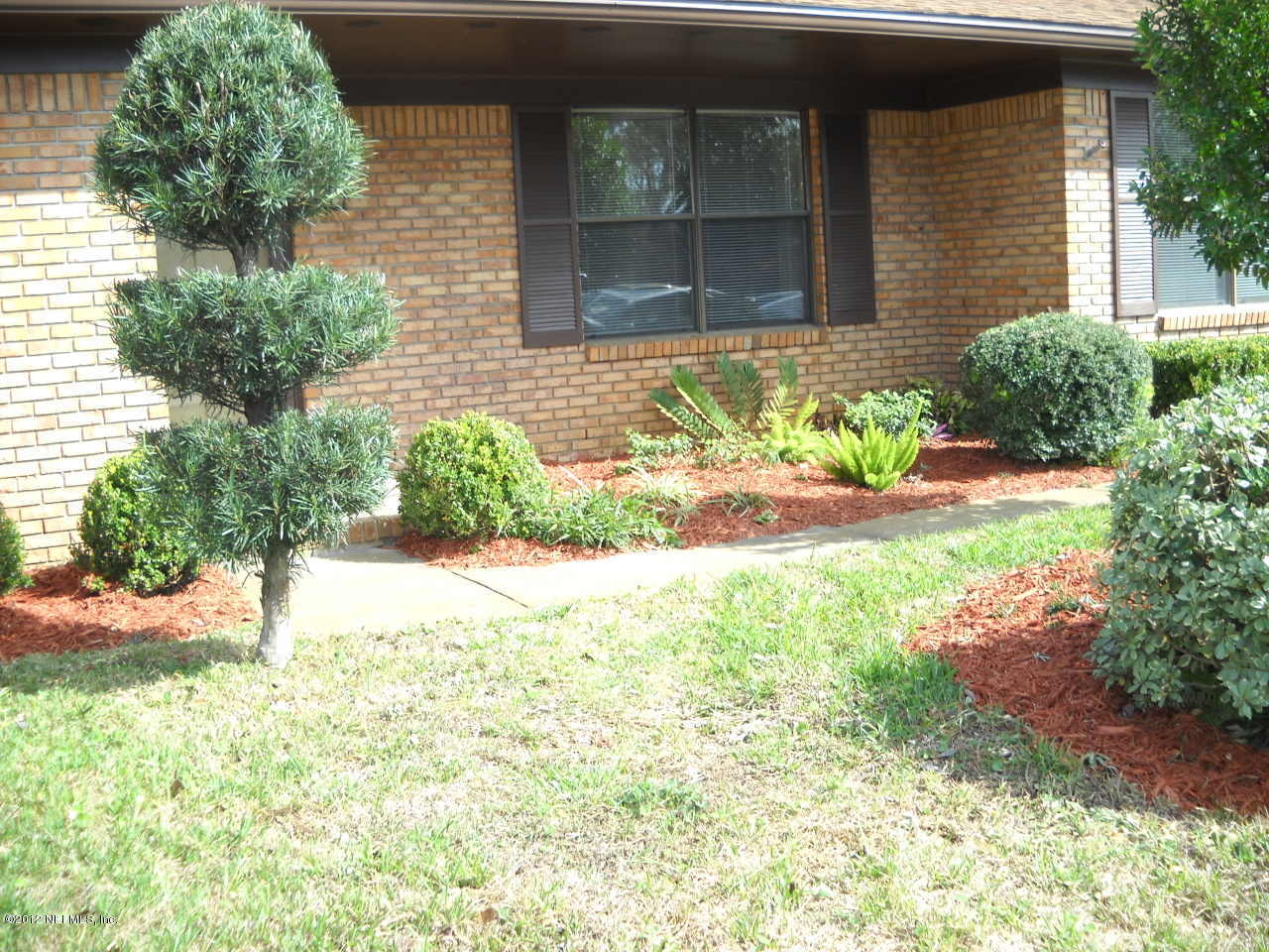 4847 Rathbone Drive Jacksonville, FL 32257 - Photo 3 of 15 Front Landscaping