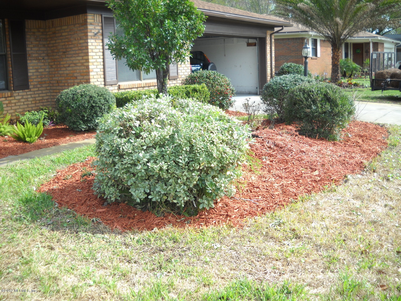 4847 Rathbone Drive Jacksonville, FL 32257 - Photo 4 of 15 Front Landscaping
