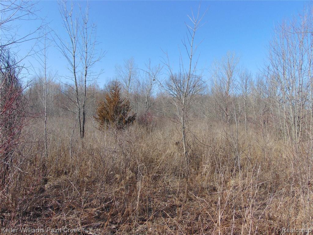 18081 26 Mile Road Ray, MI 48096 - Photo 11 of 22