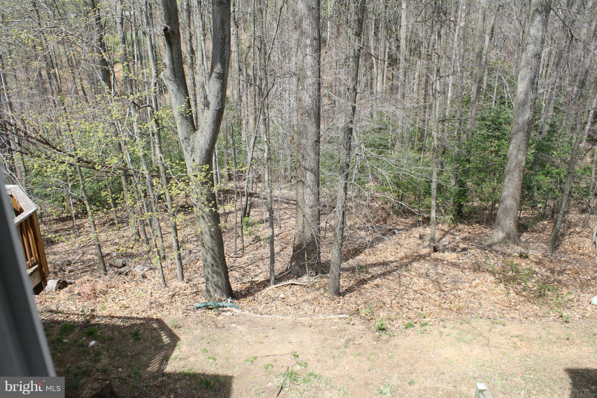 144 Finale Terrace Silver Spring, MD 20901 - Photo 18 of 21 a view of a backyard of the house