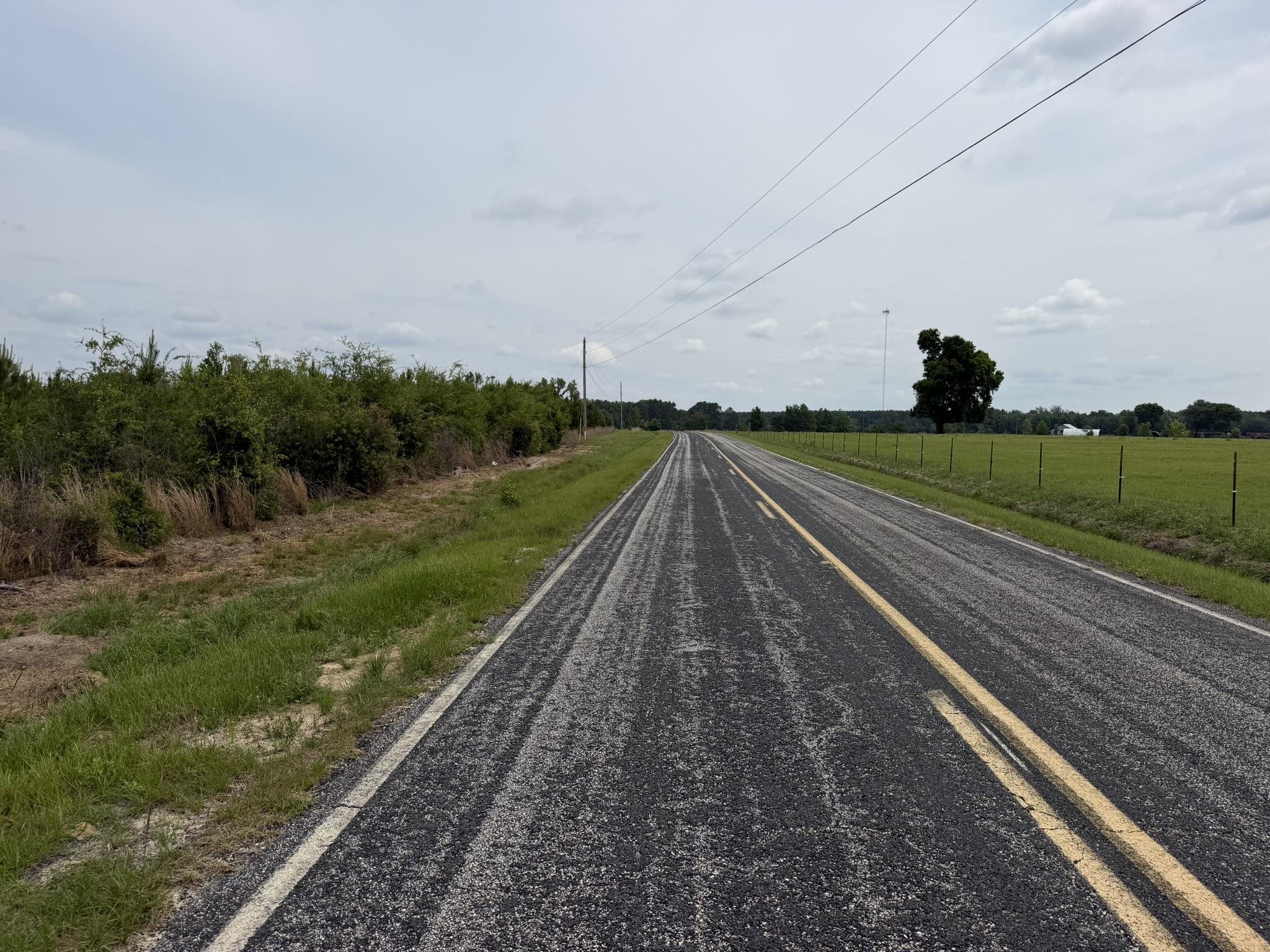 Lot 2 Attadale Road Blenheim, SC 29516 - Photo 6 of 8
