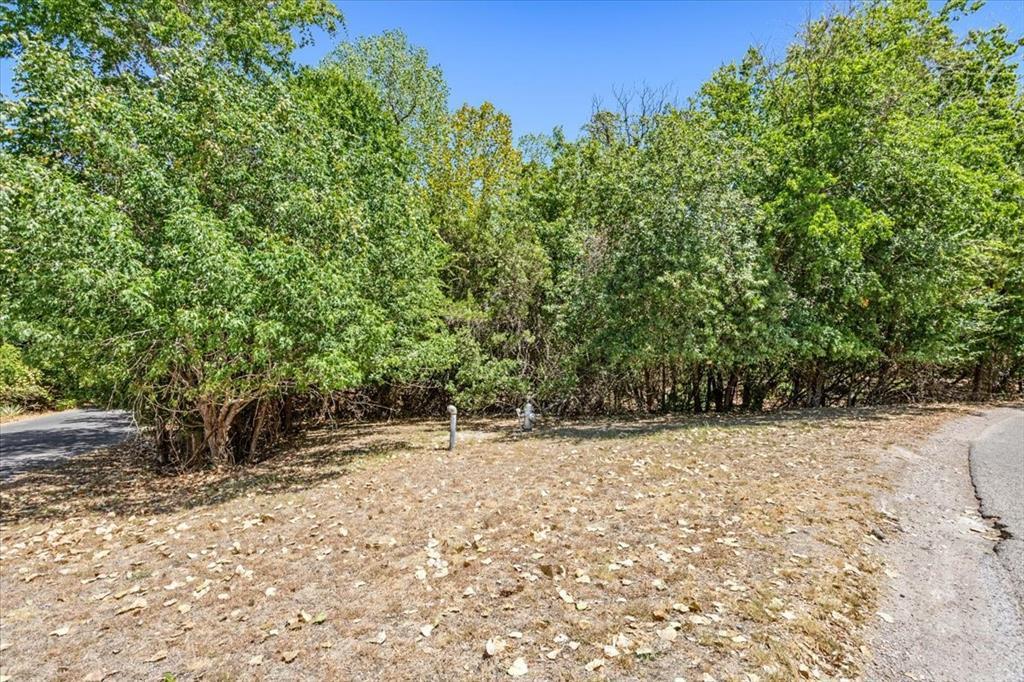 717 Willow Creek Road Salado, TX 76571 - Photo 2 of 8 a backyard of a house with lots of green space