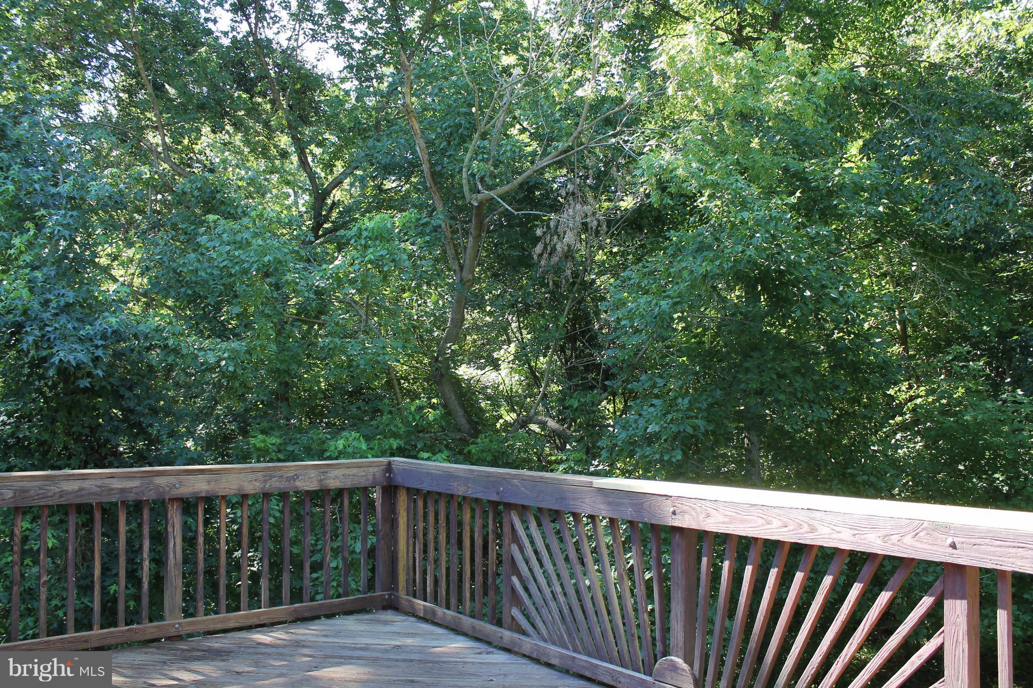 7811 Leland Road Manassas, VA 20111 - Photo 14 of 29 Deck with Private Wooded View