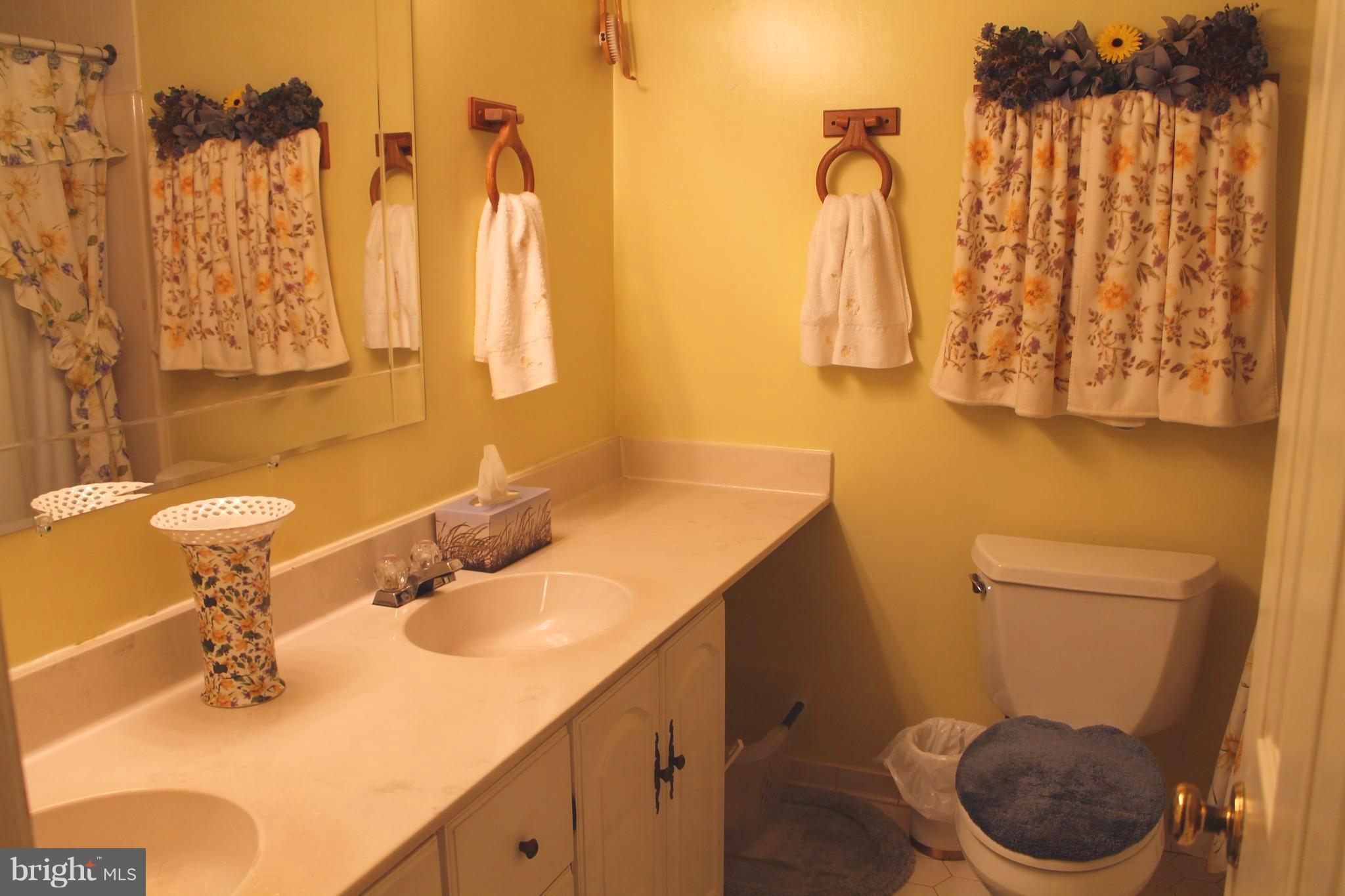 7811 Leland Road Manassas, VA 20111 - Photo 17 of 29 Bath (Master)