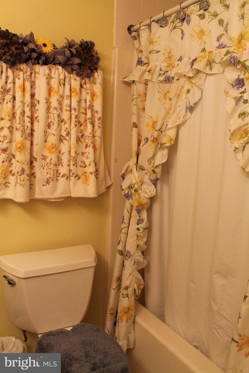 7811 Leland Road Manassas, VA 20111 - Photo 18 of 29 Bath (Master)