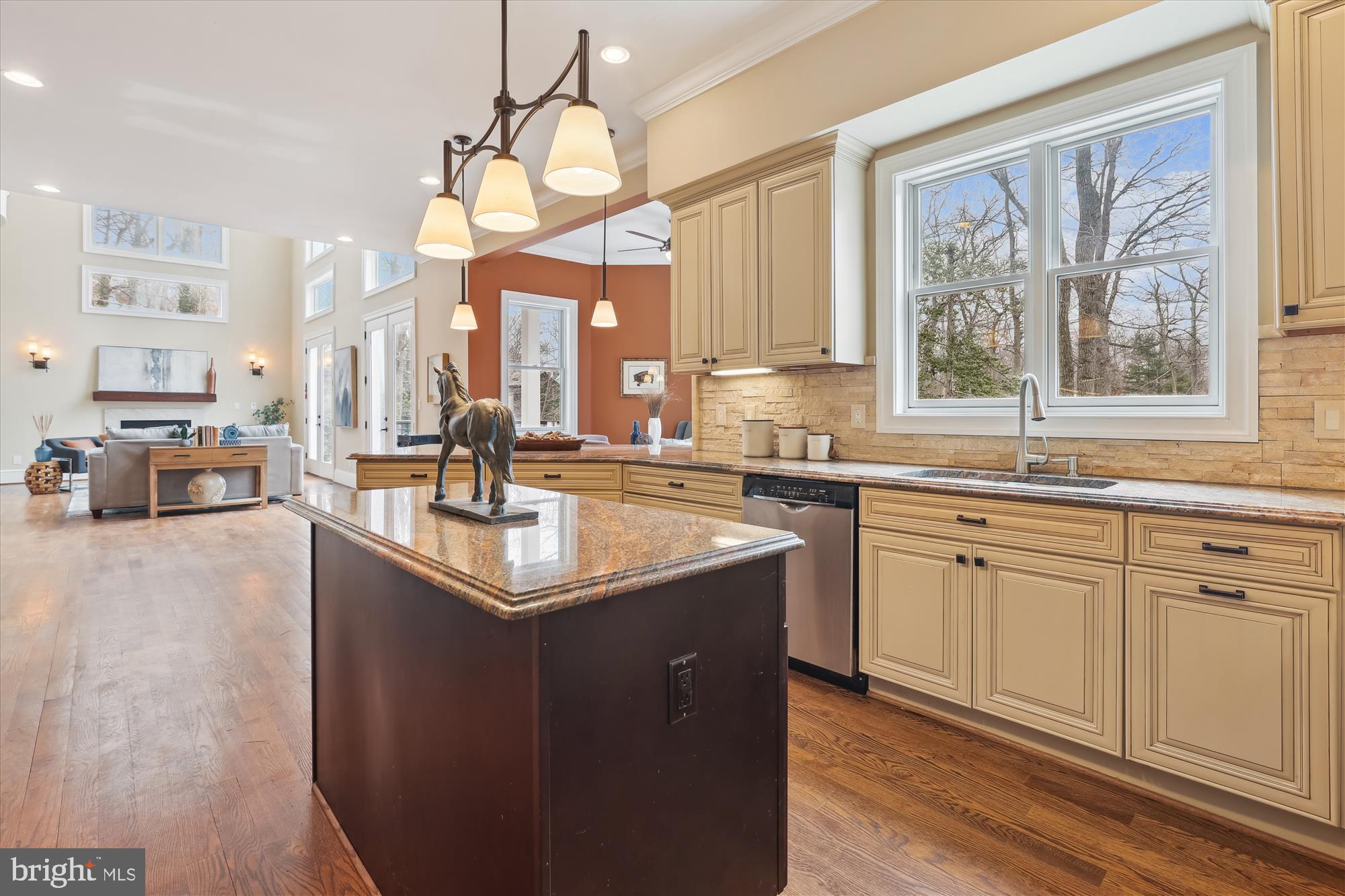 1217 Shenandoah Road Alexandria, VA 22308 - Photo 15 of 43 a kitchen with kitchen island granite countertop a sink appliances cabinets and a large window